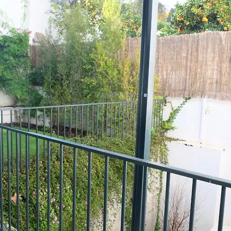 Salitre Garden * Lizbona