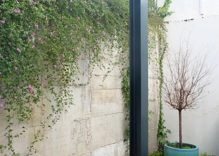 Salitre Garden * Lizbona